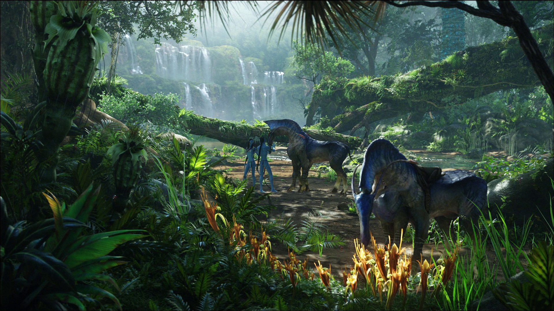 Photo from Avatar Film